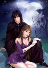 飓风战魂枫冰文